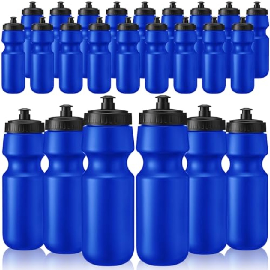 24 Pcs Sports Water Bottles Bu - Water Bottle Blank avaliação e preço